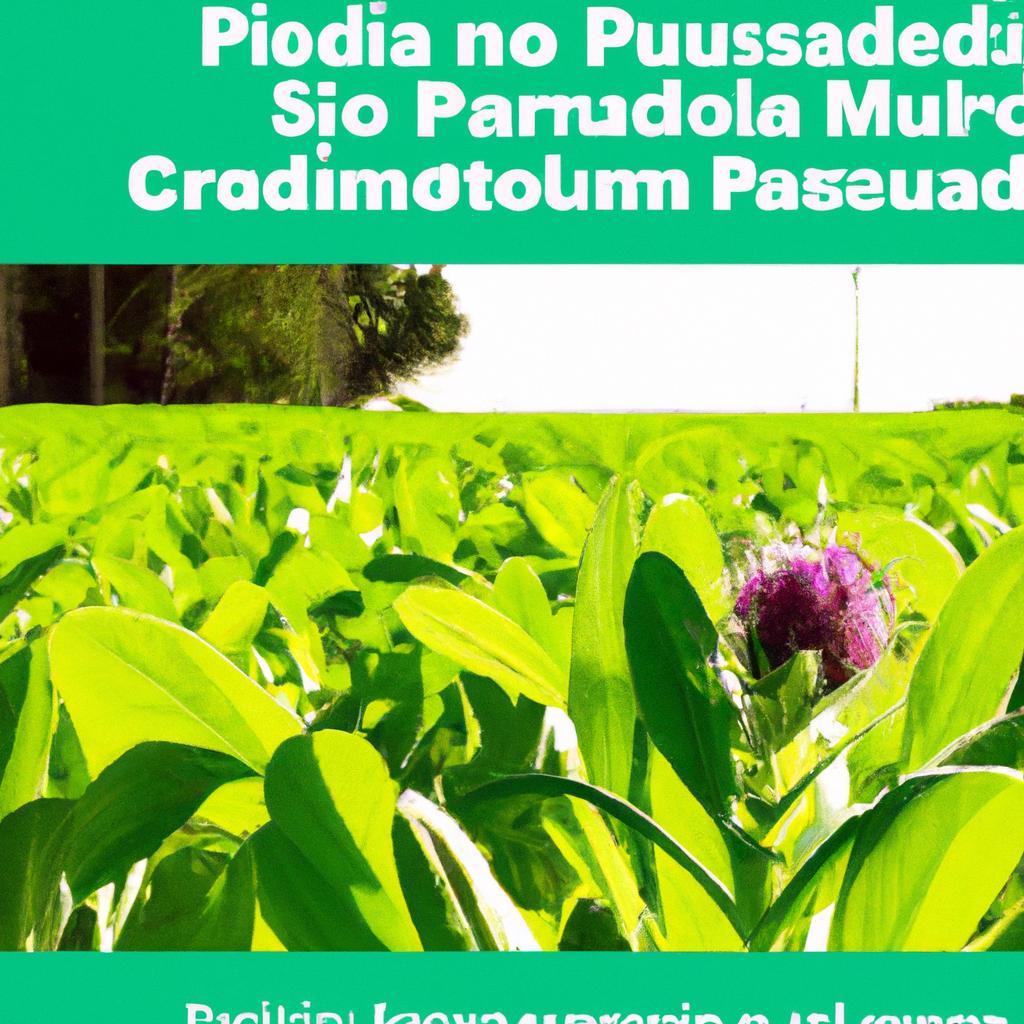 Como a Produção Sustentável das Plantas Está Moldando a Agricultura 4.0