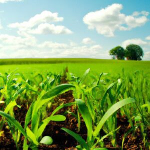 Produção Sustentável das Plantas e o Futuro da Alimentação Saudável